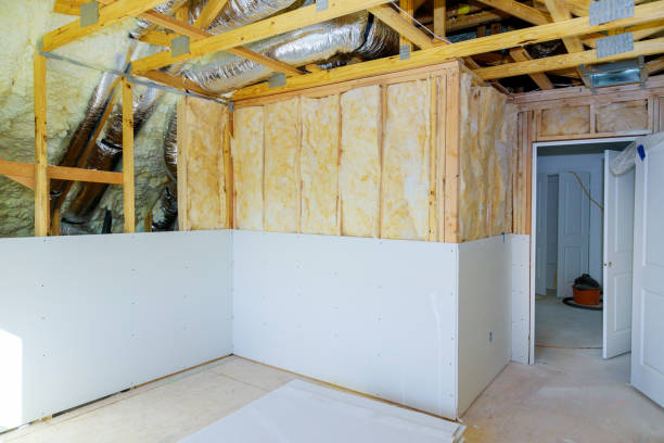 Best Insulation Maintenance and Repair in Van Horn, TX