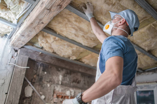 Best Eco-Friendly Insulation in Van Horn, TX